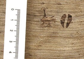 Abbildung 3 der Inkunabel zeigt den Prägestempel des Vorbesitzers auf dem Kopfschnitt: Vogel Strauß und Rehhuf.